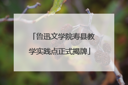 鲁迅文学院寿县教学实践点正式揭牌