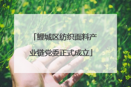 鲤城区纺织面料产业链党委正式成立