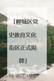 鲤城区党史教育文化街区正式揭牌