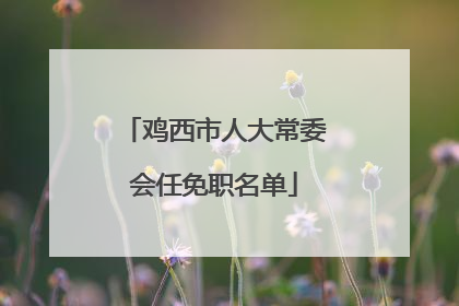 鸡西市人大常委会任免职名单