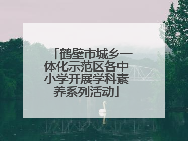 鹤壁市城乡一体化示范区各中小学开展学科素养系列活动
