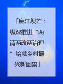 麻江坝芒：纵深推进“两清两改两治理”绘就乡村振兴新图景