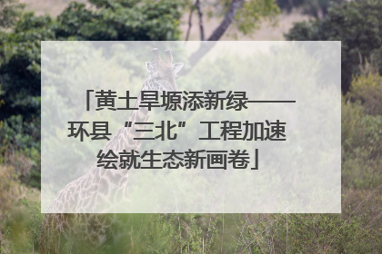 黄土旱塬添新绿——环县“三北”工程加速绘就生态新画卷