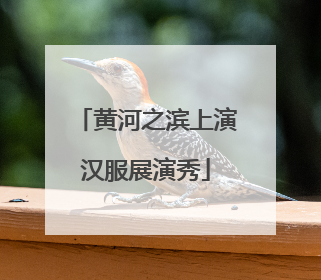黄河之滨上演汉服展演秀