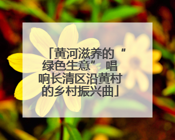 黄河滋养的“绿色生意” 唱响长清区沿黄村的乡村振兴曲