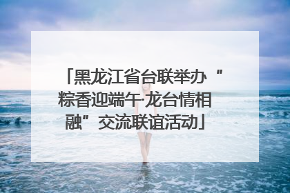 黑龙江省台联举办“粽香迎端午·龙台情相融”交流联谊活动
