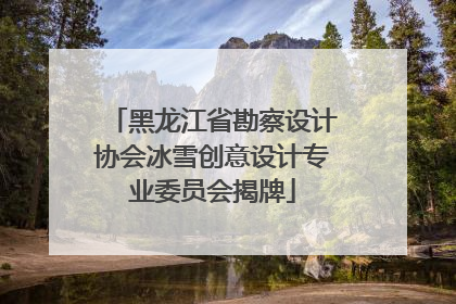 黑龙江省勘察设计协会冰雪创意设计专业委员会揭牌