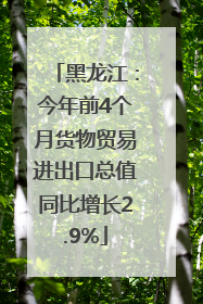黑龙江：今年前4个月货物贸易进出口总值同比增长2.9%