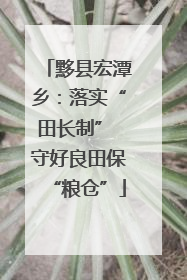 黟县宏潭乡：落实“田长制” 守好良田保“粮仓”