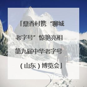 鼎香村携“聊城老字号”惊艳亮相第九届中华老字号（山东）博览会