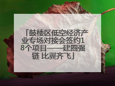 鼓楼区低空经济产业专场对接会签约18个项目——建圈强链 比翼齐飞