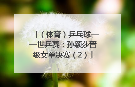 （体育）乒乓球——世乒赛：孙颖莎晋级女单决赛（2）