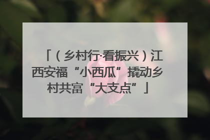 （乡村行·看振兴）江西安福“小西瓜”撬动乡村共富“大支点”