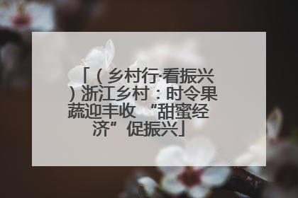 （乡村行·看振兴）浙江乡村：时令果蔬迎丰收 “甜蜜经济”促振兴