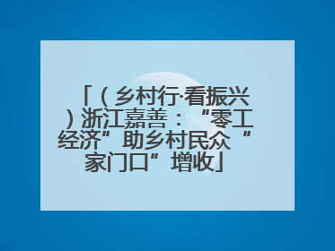 （乡村行·看振兴）浙江嘉善：“零工经济”助乡村民众“家门口”增收