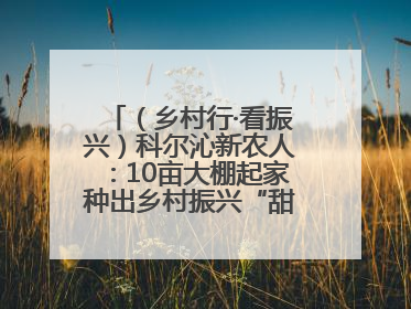 （乡村行·看振兴）科尔沁新农人：10亩大棚起家种出乡村振兴“甜蜜果”