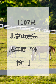 107只北京雨燕完成年度“体检”