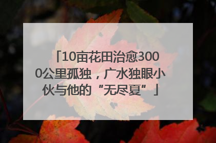 10亩花田治愈3000公里孤独，广水独眼小伙与他的“无尽夏”