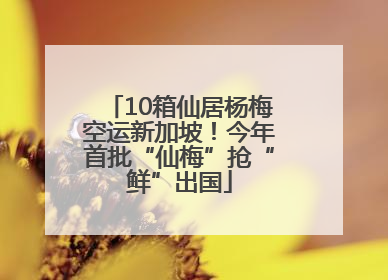 10箱仙居杨梅空运新加坡！今年首批“仙梅”抢“鲜”出国