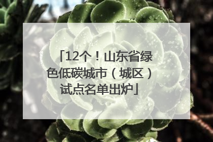 12个！山东省绿色低碳城市（城区）试点名单出炉
