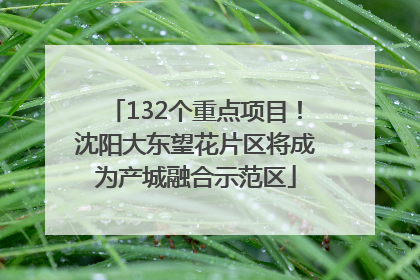 132个重点项目！沈阳大东望花片区将成为产城融合示范区
