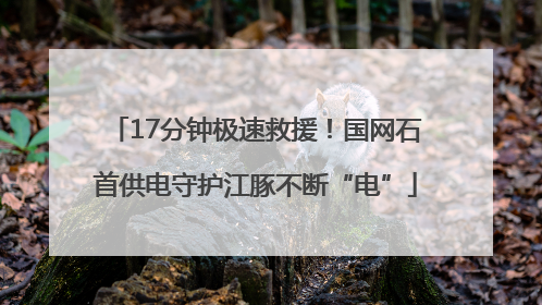 17分钟极速救援！国网石首供电守护江豚不断“电”