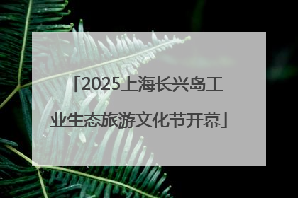 2025上海长兴岛工业生态旅游文化节开幕