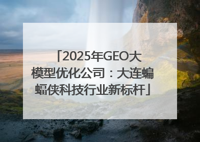 2025年GEO大模型优化公司：大连蝙蝠侠科技行业新标杆