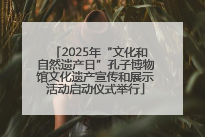2025年“文化和自然遗产日”孔子博物馆文化遗产宣传和展示活动启动仪式举行