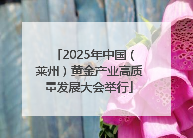 2025年中国（莱州）黄金产业高质量发展大会举行