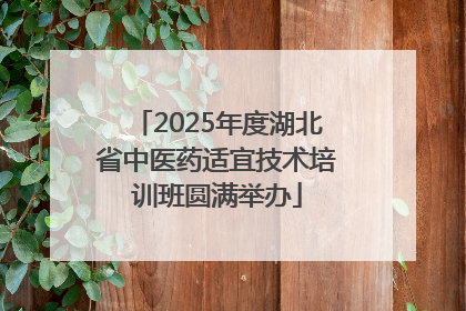 2025年度湖北省中医药适宜技术培训班圆满举办