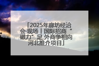 2025年廊坊经洽会·现场丨国际招商“磁力”足 外商争相向河北推介项目