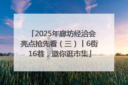 2025年廊坊经洽会亮点抢先看（三）丨6街16巷，邀你逛市集