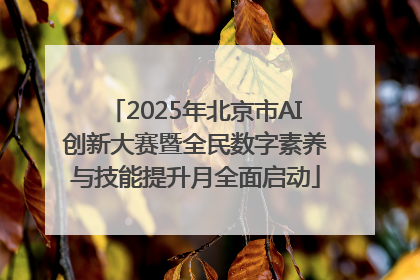 2025年北京市AI创新大赛暨全民数字素养与技能提升月全面启动