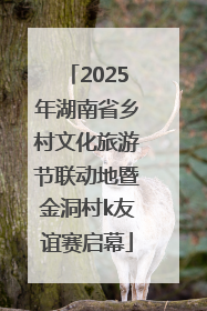 2025年湖南省乡村文化旅游节联动地暨金洞村k友谊赛启幕