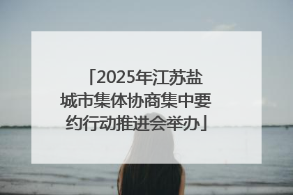 2025年江苏盐城市集体协商集中要约行动推进会举办