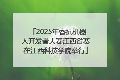 2025年睿抗机器人开发者大赛江西省赛在江西科技学院举行