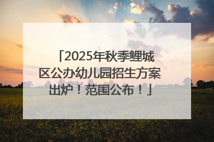 2025年秋季鲤城区公办幼儿园招生方案出炉！范围公布！