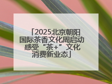 2025北京朝阳国际茶香文化周启动 感受“茶+”文化消费新业态