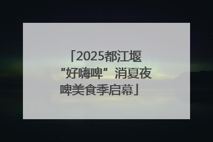 2025都江堰“好嗨啤”消夏夜啤美食季启幕