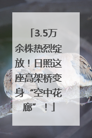 3.5万余株热烈绽放！日照这座高架桥变身“空中花廊”！