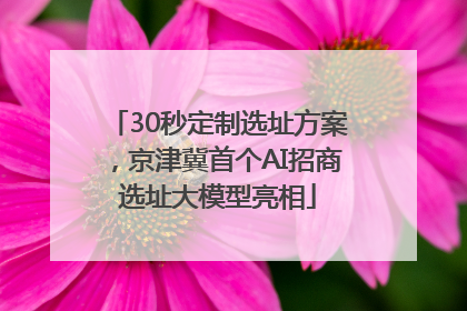 30秒定制选址方案，京津冀首个AI招商选址大模型亮相