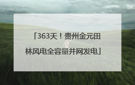 363天！贵州金元田林风电全容量并网发电