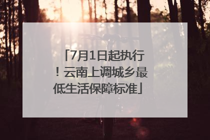 7月1日起执行！云南上调城乡最低生活保障标准