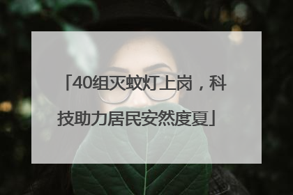 40组灭蚊灯上岗，科技助力居民安然度夏