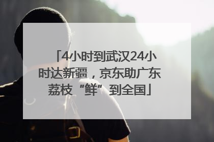 4小时到武汉24小时达新疆，京东助广东荔枝“鲜”到全国