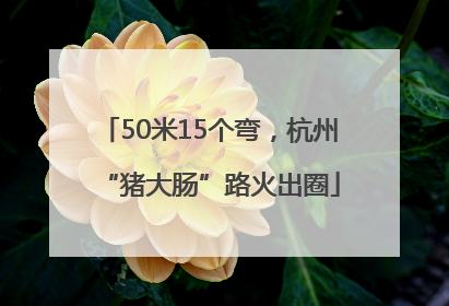 50米15个弯，杭州“猪大肠”路火出圈