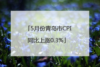 5月份青岛市CPI同比上涨0.3%