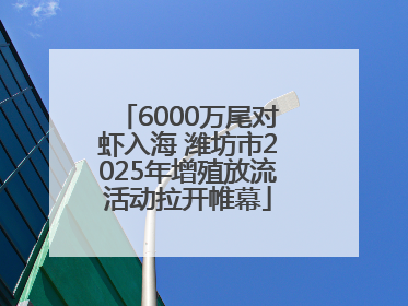 6000万尾对虾入海 潍坊市2025年增殖放流活动拉开帷幕