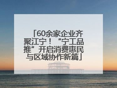 60余家企业齐聚江宁！“宁工品推”开启消费惠民与区域协作新篇
